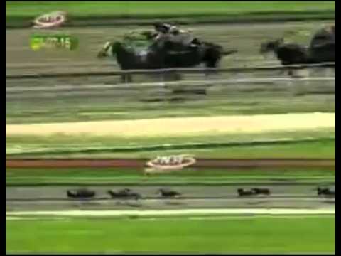 LA RINCONADA 4 CARRERA, VIERNES 24 DE JULIO DEL 2015