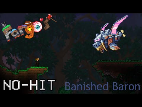 Banished Baron No-Hit [Eternity] [Fargo's Souls 1.7.2.14]