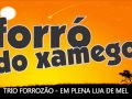 TRIO FORROZAO - Em plena lua de mel 