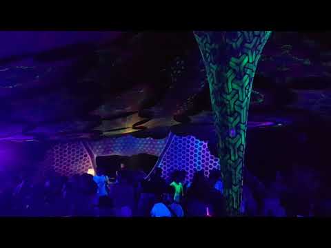 Ziqada @ Secret Forest Open Air 2019 - 1/3