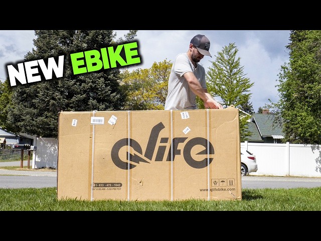 Qlife Racer Plus 2.0 - 36 MPH Budget Beast?