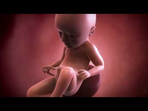 Your baby at 34 weeks | Week-by-week pregnancy | MadeForMums