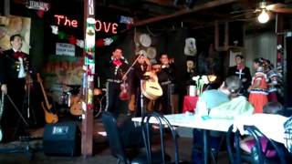 Mariachi Azteca in San Antonio, Texas (La Malageña)