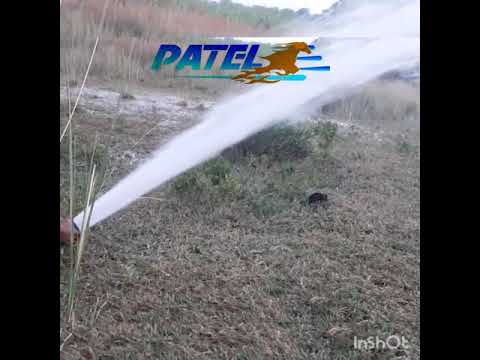 Blue openwell 3hp motor