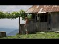 The Man Who Inspired The World With His Independent Life On Top Of A Mountain