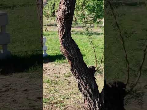 Video de Casa Templa Hospedaje