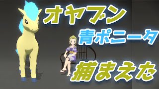 オヤブン青ポニータと遭遇【ポケモンアルセウス女性実況】