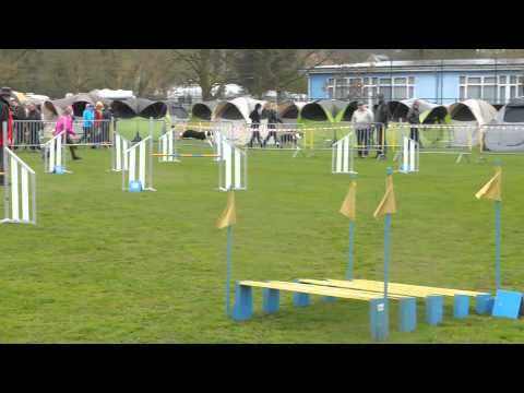 Hyona jumping Bonheiden 20150411