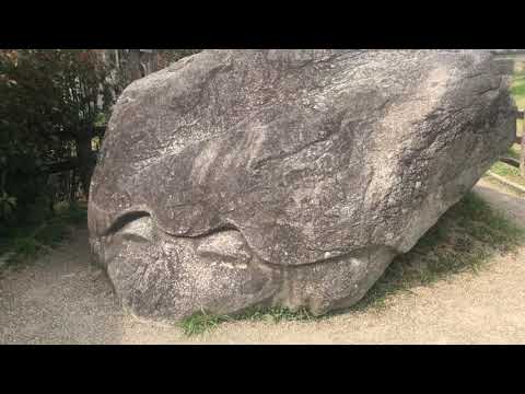 Turtle Stone : Guided by UFO contactee Yutakin from JAMT