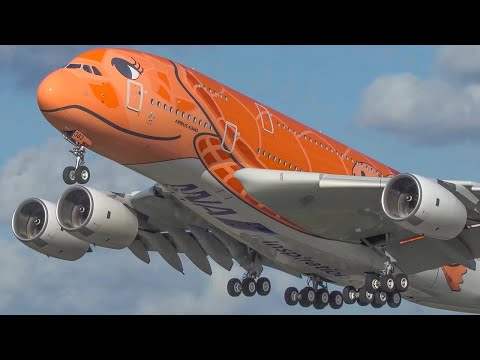 60 MINUTES PURE AVIATION - AIRBUS A380, B747, Beluga - Special painted planes only (4K)