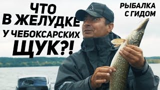 Отдых и рыбалка на чебоксарском водохранилище