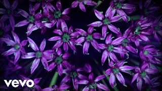 BT - Our Dark Garden