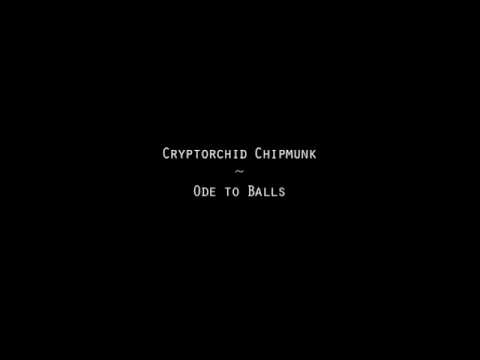 Cryptorchic Chipmunk - Ode to Balls