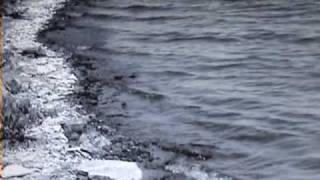 Light of the world (The Alan Parsons Project)