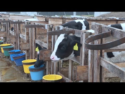 ���������-���� (��������) �������� ����� �� ������������ ������