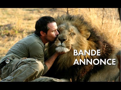 AFRICAN SAFARI 3D - Bande Annonce VF