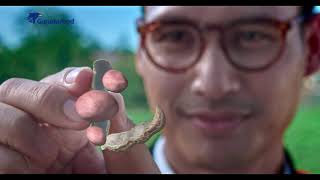 Download lagu Iklan Kacang GARUDA BIGA | Kacang Garuda Biji Tiga Premium mp3