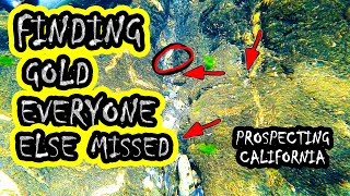 Finding Gold Everybody Else Missed