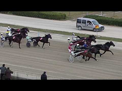 Aversa trotto 25 Gennaio 2020 - 2° Corsa