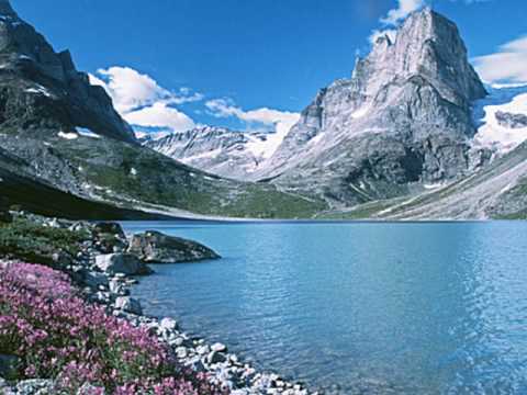 DJ Contacreast - Life is a gift