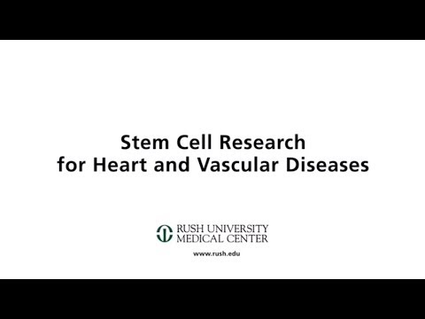 Stem Cell Research for Heart and Vascular Diseases