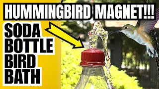 HUMMINGBIRDS BY THE HUNDREDS Will Swarm This DIY COKE BOTTLE Fountain | SELF POWERED
