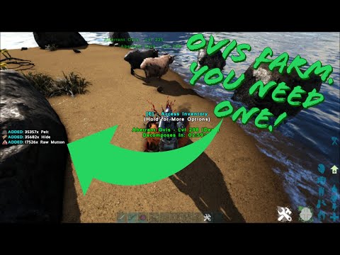 'SECRET' OVIS TRICK! Why you need an Ovis farm!