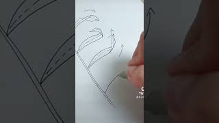 Botanical drawing hack! // how to draw folded leaves step by step!