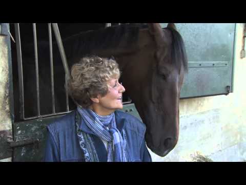 Corine Barande-Barbe on Cirrus Des Aigles