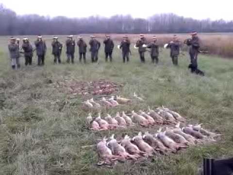 Erlegte Strecke verblasen