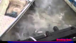 MEAT the Piranhas! Ravenous fish have feeding frenzy