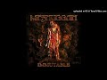 Meshuggah - The Abysmal Eye (2022)