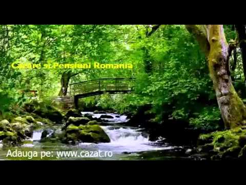 Cazare Verveghiu, Salaj - Cazat.ro