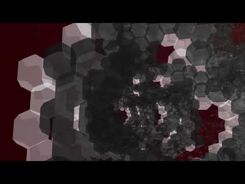 Entrega T.P. 3 IMD 2019