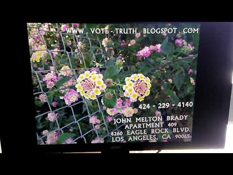 LATEST ST. BENEDICTA... TWO FENCE FLOWERS