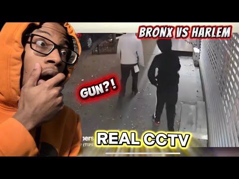 NEW YORK’S DEADLY GANG WAR: BRONX VS HARLEM | STABBINGS, BLICKINGS AND DEATH 😳 (REACTION)