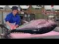 GIANT BLUEFIN TUNA Cutting Master World S Sharpest Tuna Knife Japan Street Food