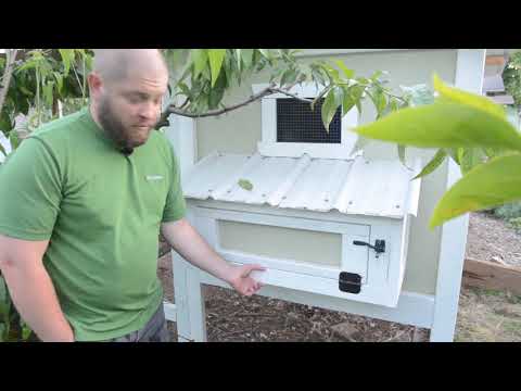 Egg Box for Chicken Coop - Building a DIY Egg Hutch, Carolina Coop Style
