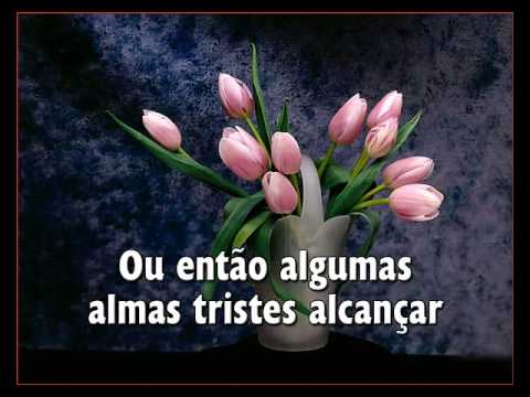 Brilha No Meio Do Teu Viver   -   Hino  308