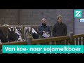 Koe eruit en soja erin voor deze Twentse melkboeren • OnsEten #4