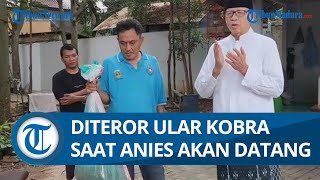 Hendak Kedatangan Anies Baswedan, Rumah Mantan Gubernur Banten Dilempar Sekarung Ular Kobra
