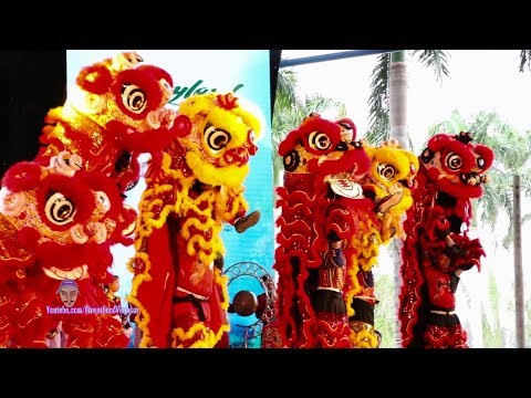 ĐOÀN NGHỆ THUẬT LÂN SƯ RỒNG - KUNG FU QUANG HIỂN 