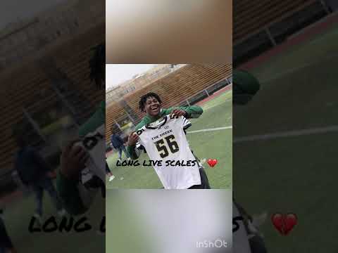 Paidway- Long live Scales🕊