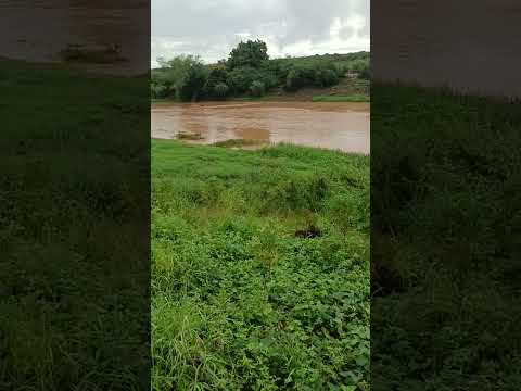 Rio gavião cheio muita chuva na Bahia