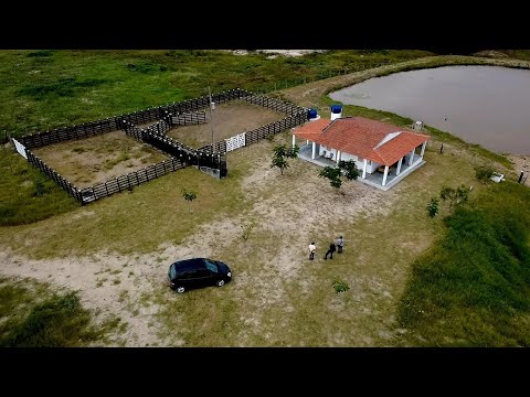 Fazenda 🚜 avenda fica em CABANAS 81.993028393 ZAP 10 km  CACHOEIRINHA 