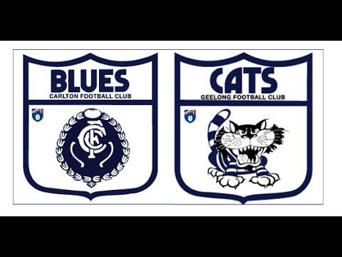 1995 AFL Grand Final - Carlton v Geelong