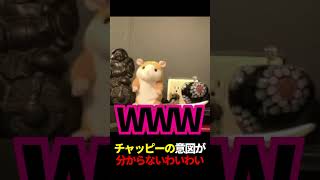 チャッピーの意図が分からないわいわい