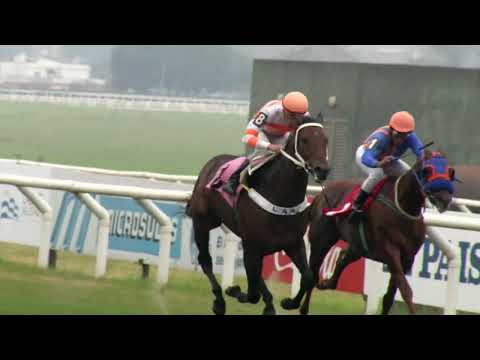230624 c03 - MADRUGADOR WARM - HIPODROMO DE MAROÑAS