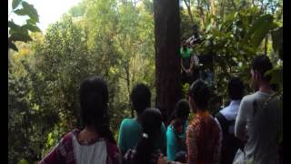 TKM Institute of Management 19th Batch (B) Outbound Training at Wayanad, Kerala