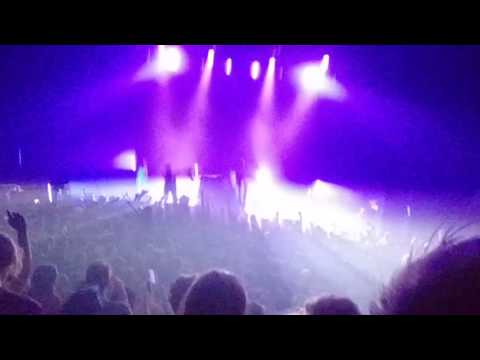 Salut c'est cool - Nous sommes des fleurs (live)